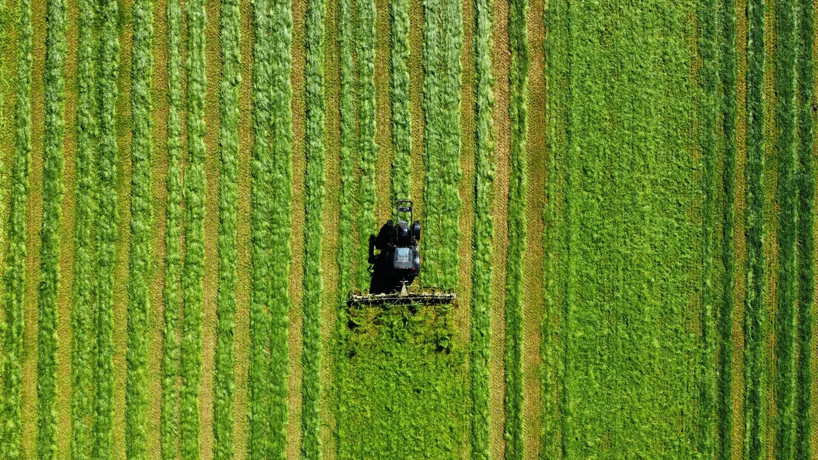 What Farm Features Show Best From the Air